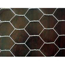 PVC Revestido Hexagonal Wire Mesh para Produção, Química, Jardim